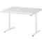 Rau Adlatus werktafel, elektrisch in hoogte verstelbaar, 22 mm spaanplaat met melamine bekleding, tot 150 kg, B 1250 x D 1000 x H 720-1120 mm, lichtgrijs