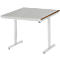 Rau Adlatus werktafel, elektrisch in hoogte verstelbaar, 25 mm MDF-plaat met plaatstalen bekleding, 300 kg, B 1000 x D 1000 x H 720-1120 mm, zilver/grijs