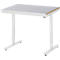 Rau Adlatus werktafel, elektrisch in hoogte verstelbaar, 25 mm MDF-plaat, plaatstalen bekleding, 150 kg, B 1000 x D 800 x H 720-1120 mm, zilver/lichtgrijs