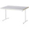 Rau Adlatus werktafel, elektrisch in hoogte verstelbaar, 25 mm MDF-plaat, plaatstalen bekleding, 150 kg, B 1500 x D 1000 x H 720-1120 mm, zilver/lichtgrijs