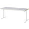 Rau Arbeitstisch Adlatus, elektrisch höhenverstellbar, 25 mm MDF-Platte, Stahlblechbelag, 150 kg, B 2000 x T 800 x H 720-1120 mm, silber/lichtgrau