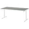 Rau Arbeitstisch Adlatus, elektrisch höhenverstellbar, 25 mm Spanplatte, Linoleumbelag, 150 kg, B 2000 x T 1000 x H 720-1120 mm, hellgrau/lichtgrau