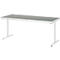 Rau Arbeitstisch Adlatus, elektrisch höhenverstellbar, 25 mm Spanplatte, Linoleumbelag, 150 kg, B 2000 x T 800 x H 720-1120 mm, hellgrau/lichtgrau