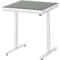 Rau Arbeitstisch Adlatus, elektrisch höhenverstellbar, 25 mm Spanplatte, Linoleumbelag, 150 kg, B 750 x T 800 x H 720-1120 mm, hellgrau/lichtgrau