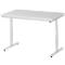 Rau ESD-Arbeitstisch Adlatus, elektrisch höhenverstellbar, 28 mm Spanplatte mit Melaminbelag, bis 150 kg, B 1250 x T 800 x H 720-1120 mm, lichtgrau