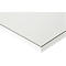 Rau ESD-werktafel Jerry, handmatig in hoogte verstelbaar, 28 mm spaanplaat met melamine coating, tot 300 kg, B 1000 x D 800 x H 800-850 mm, lichtgrijs