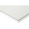 Rau ESD-werktafel Jerry, handmatig in hoogte verstelbaar, 28 mm spaanplaat met melamine coating, tot 300 kg, B 2000 x D 1000 x H 800-850 mm, lichtgrijs