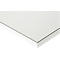 Rau ESD-werktafel Jerry, handmatig in hoogte verstelbaar, 28 mm spaanplaat met melamine coating, tot 300 kg, B 2000 x D 800 x H 800-850 mm, lichtgrijs