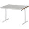 Rau werktafel Adlatus, elektrisch in hoogte verstelbaar, 25 mm MDF blad, roestvrij stalen bekleding, tot 150 kg, B 1250 x D 800 x H 720-1120 mm, zilver/lichtgrijs