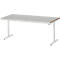 Rau werktafel Adlatus, elektrisch in hoogte verstelbaar, 25 mm MDF blad, roestvrij stalen bekleding, tot 150 kg, B 2000 x D 800 x H 720-1120 mm, zilver/lichtgrijs