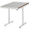 Rau werktafel Adlatus, elektrisch in hoogte verstelbaar, 25 mm MDF blad, roestvrij stalen bekleding, tot 150 kg, B 750 x D 1000 x H 720-1120 mm, zilver/lichtgrijs