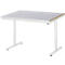 Rau werktafel Adlatus, elektrisch in hoogte verstelbaar, 25 mm MDF-plaat, plaatstalen bekleding, 150 kg, B 1250 x D 1000 x H 720-1120 mm, zilver/grijs