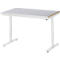 Rau werktafel Adlatus, elektrisch in hoogte verstelbaar, 25 mm MDF-plaat, plaatstalen bekleding, 150 kg, B 1250 x D 800 x H 720-1120 mm, zilver/grijs