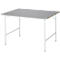 Rau werktafel Jerry, handmatig in hoogte verstelbaar, 25 mm MDF blad met roestvrij stalen bekleding, tot 300 kg, B 1250 x D 1000 x H 800-850 mm, zilver/lichtgrijs