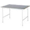 Rau werktafel Jerry, handmatig in hoogte verstelbaar, 25 mm MDF-plaat met plaatstalen bekleding, tot 300 kg, B 1250 x D 1000 x H 800-850 mm, zilver/lichtgrijs