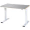Rau Werktisch Adlatus, elektrisch höhenverstellbar, 25 mm MDF-Platte mit Edelstahlbelag, bis 300 kg, B 1250 x T 800 x H 720-1120 mm, silber/lichtgrau