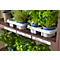 Rayonnage emboîtable pour plantes ou tous usages ORDO Flex - acier - modulaire - l. 1060 x P 435 x H 2000 mm - charge admissible 1200 kg - revêtement époxy - rouille brun