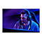 Razer BlackShark V2 - Headset - ohrumschließend - kabelgebunden - 3,5 mm Stecker - Geräuschisolierung