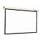 Reflecta Crystal-Line Motor lux - Leinwand - Deckenmontage möglich, geeignet für Wandmontage - motorisiert - 249 cm (98') - 1:1