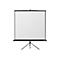 Reflecta CrystalLine Tripod - Projektionsbildschirm mit Stativ - 334 cm (131') - 1:1 - BetaLux - Totally Black