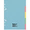 Blaues Registerblatt mit farbigen Reitern und Markenlogo, Lochung links.