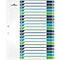 Register Durable, 20-teilig, DIN A4+, Indexblatt, EDV-beschriftbares Register, mit farbigen Taben