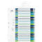 Register Durable, 20-teilig, DIN A4+, Indexblatt, EDV-beschriftbares Register, mit farbigen Taben