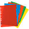 Ringmapindex PP A4 in kleur 5-delig