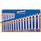 Ringsteeksleutel set Projahn, met foedraal, metrisch conform DIN 3113 Form A