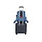 Riva Case Biscayne 8365 - Notebook-Rucksack - 43.9 cm (17.3') - Blau