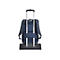 Riva Case Tegel 8460 - Notebook-Rucksack - 43.9 cm (17.3') - dunkelblau