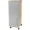 Grey cabinet with wooden sides, handle, and wheels. It has a lock, square openings, and stands on castors.