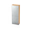 Roldeurkast 5 ordnerhoogten, B 800 x D 420 mm, esdoornpatroon/zilver