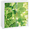 White cabinet with doors, printed with leaves, against a bright background.