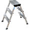 Rolly dubbele inklapbare trap, 2 x 3 treden, aluminium kleur