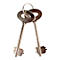 Rottner Coffre-fort à introduire Cashmatic Basic serrure à double panneton