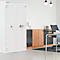 Rottner feuersicherer Stahlbüroschrank Office 3 S-2 Fire Premium Doppelbartschloss