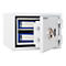 Open white safe with two blue files inside. The lock is silver, the door is open.