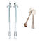 Two long bolts with nuts and washers next to two keys on a white background.