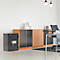 Rottner Papiersicherungsschrank EN1 FireProfi 65 Premium Doppelbartschloss anthrazit