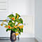 Eine Vase mit Sonnenblumen und gelben Blüten steht vor einem weißen Schrank.