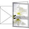 Rouwkaart Witte Amaryllis, 10 stuks