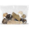 Sachet à fermeture par zip, 70 µ, 320 x 230 mm