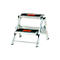 A silver step ladder with two steps. "Little Giant" is written in red on each step.