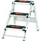 A three-step silver stepladder with black treads and the words "Little Giant" in orange on each step.