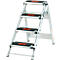 Foldable aluminum stepladder with four steps. Black treads with red "Little Giant" lettering. On a light background.