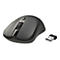 Drahtlose, dunkelgraue Maus mit USB-Empfänger auf weißem Hintergrund.