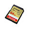 Gros plan d'une carte SD noire avec une surface dorée, avec "SanDisk Extreme" et des spécifications. 64 Go en rouge.