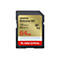 SD-Karte von Sandisk. Auf goldener Fläche steht: Extreme GO, 170MB/s R, 80MB/s W, 64GB.