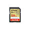 Eine schwarze SanDisk Extreme SD-Karte mit goldener Mitte und roter Schrift: 128 GB.